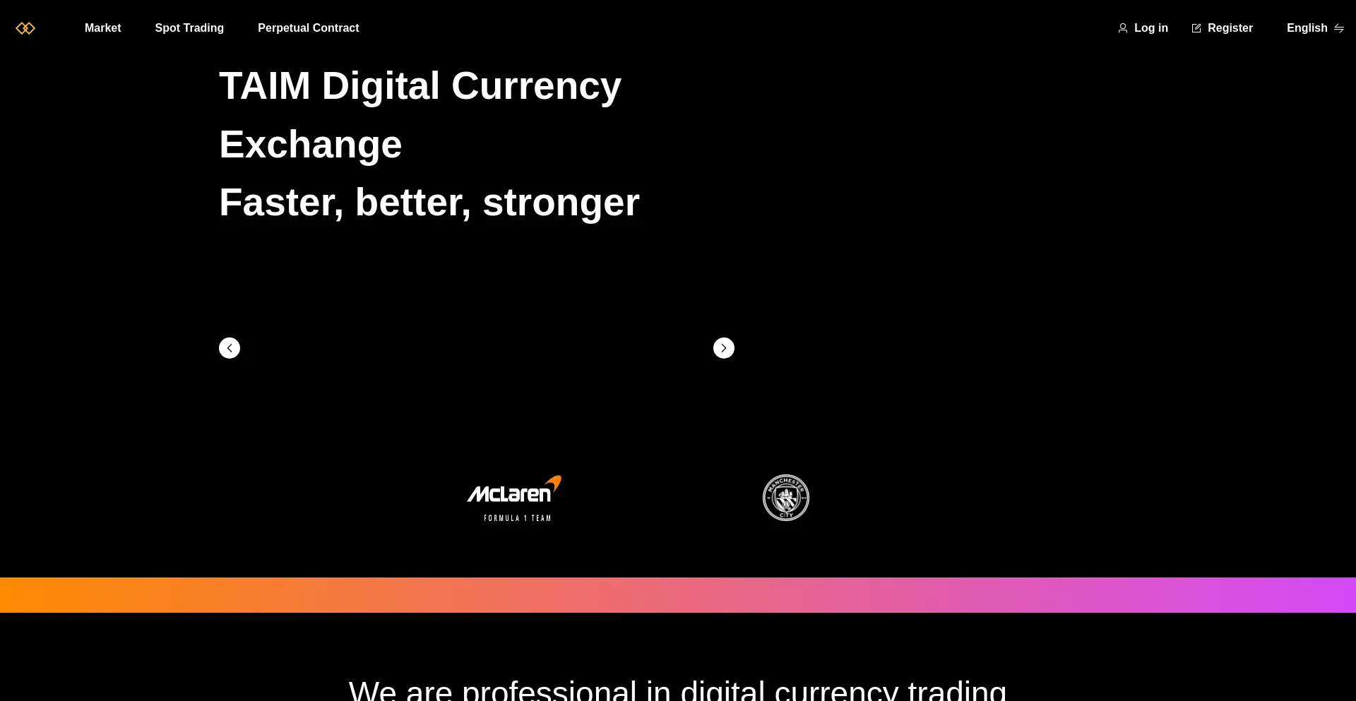 Website screenshot of Taimmxle.cc