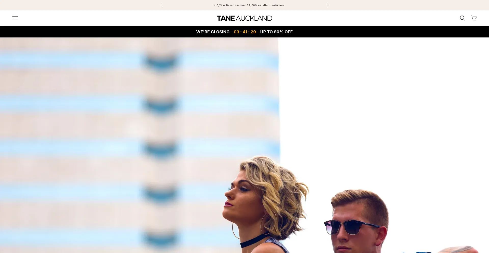 Website screenshot of Tane-auckland.com