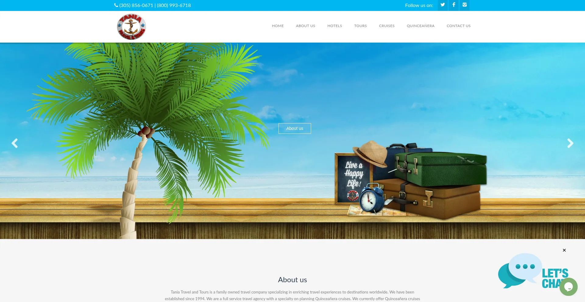 Website screenshot of Taniatravelandtours.com