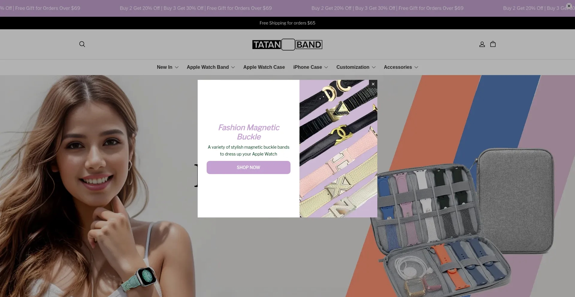 Website screenshot of Tatanband.com
