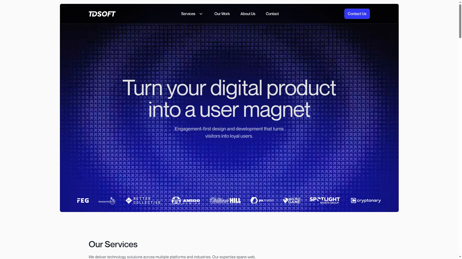 Tdsoft.com