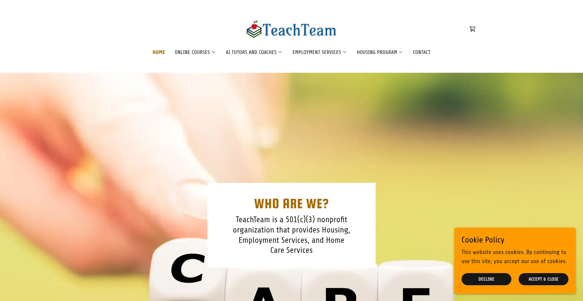 Website screenshot of Teachteam.org