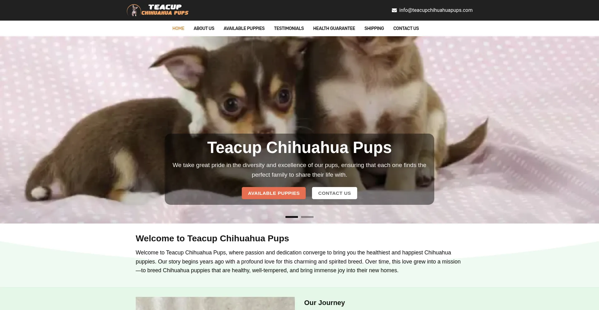 Website screenshot of Teacupchihuahuapups.com