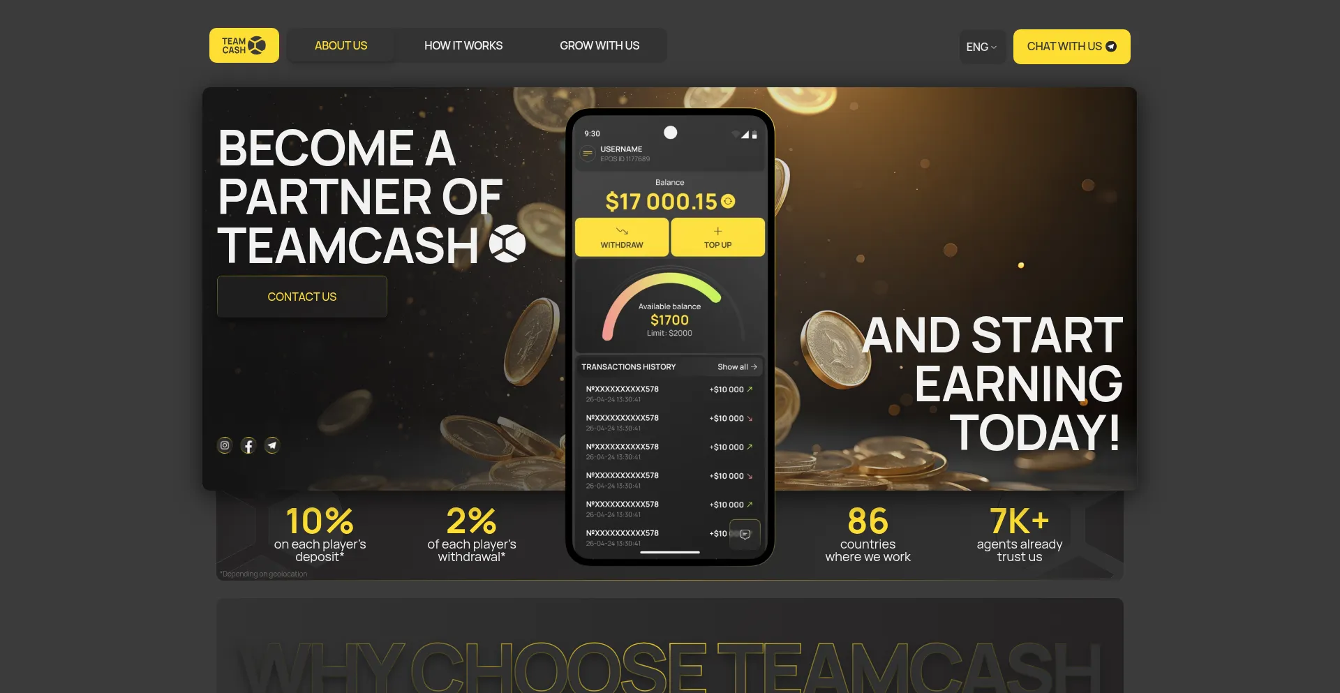 Website screenshot of Teamcash.net