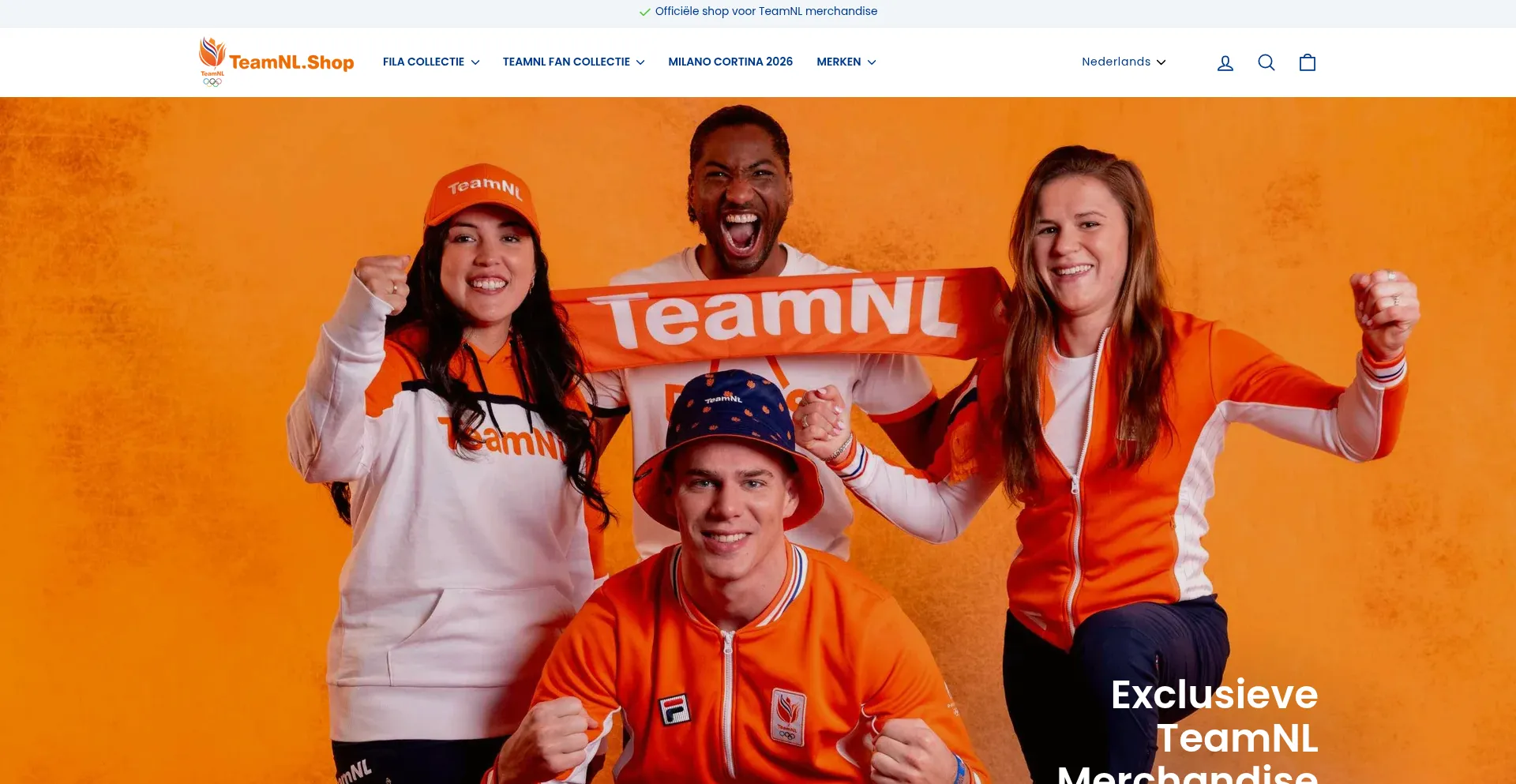 Website screenshot of Teamnl.shop