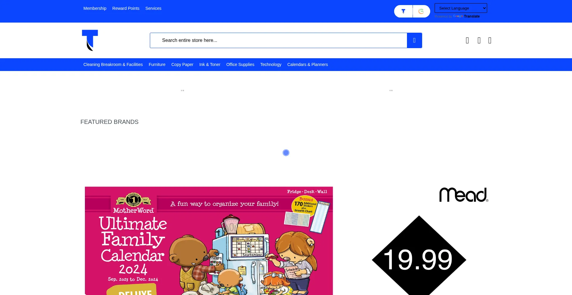 Website screenshot of Technodil.ca