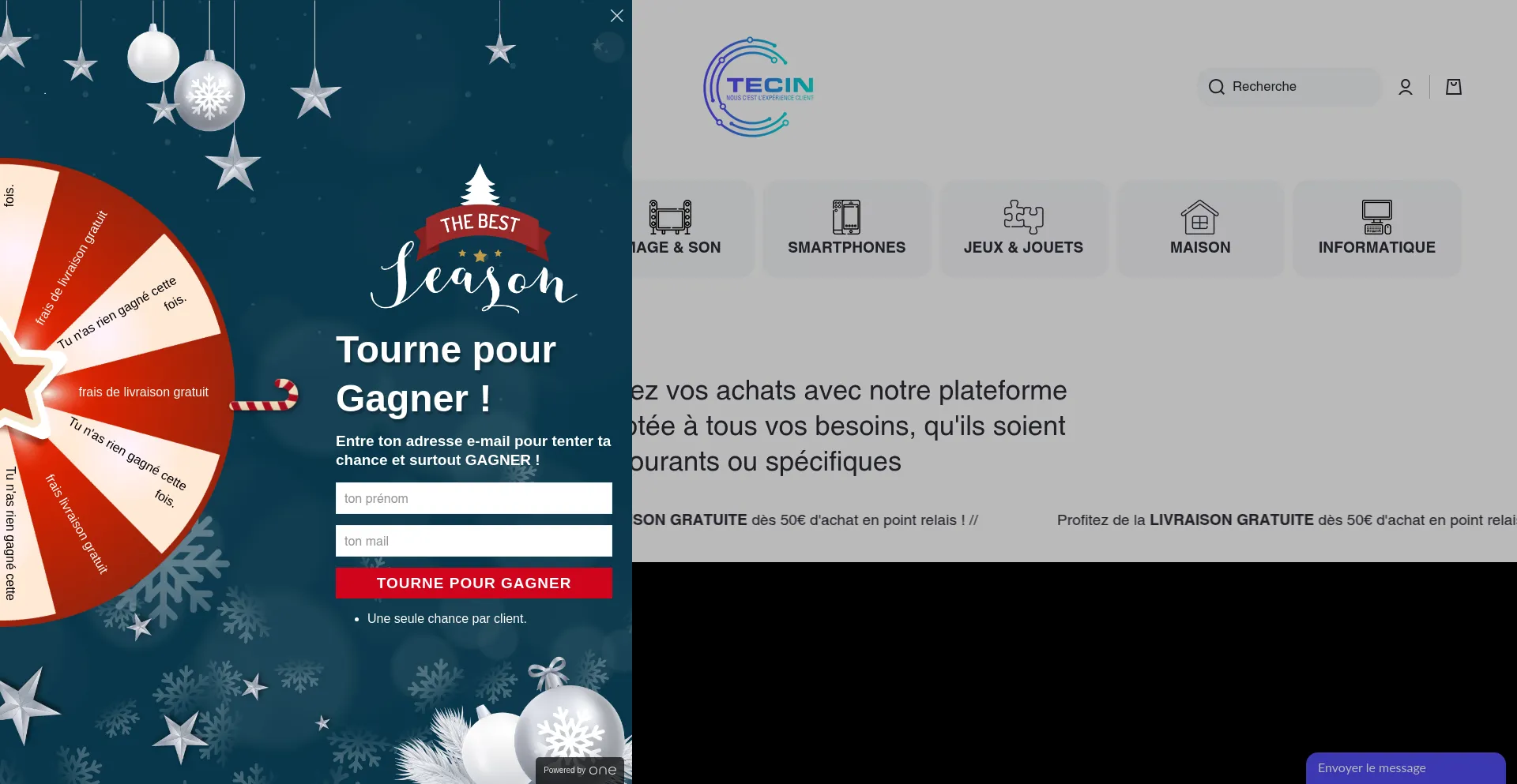 Website screenshot of Tecin.eu