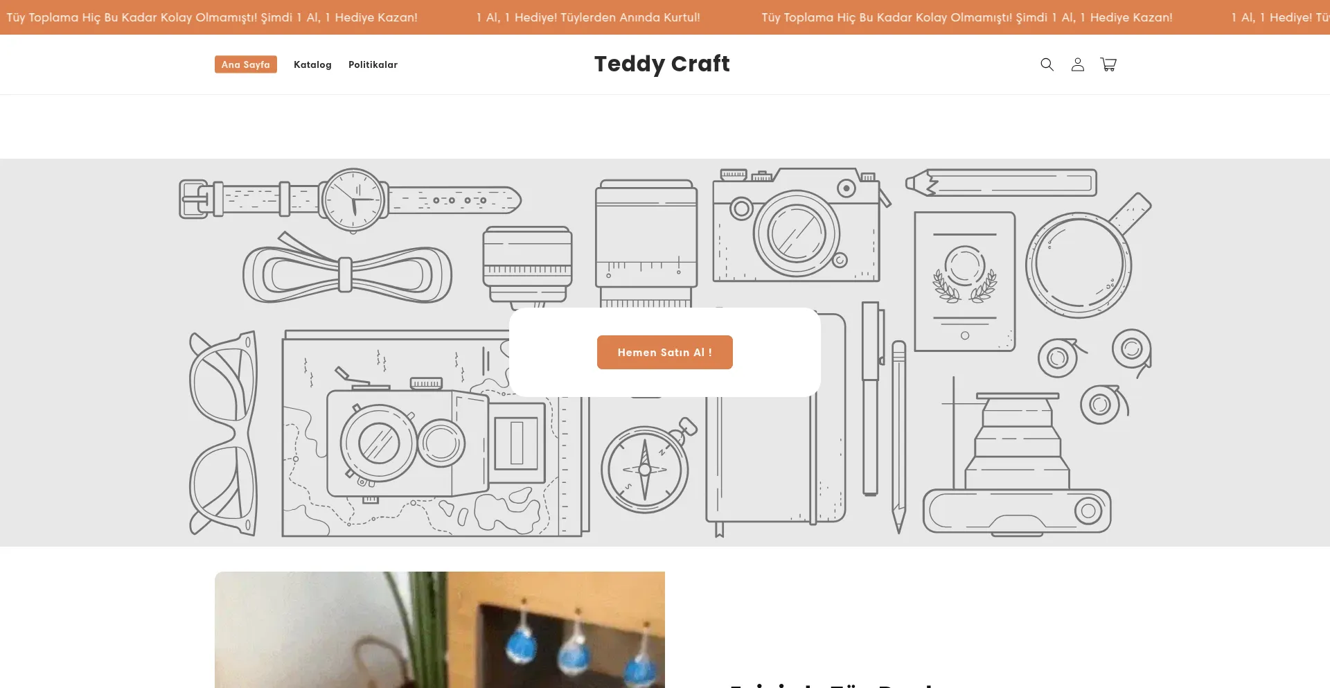 Website screenshot of Teddycraft.com.tr