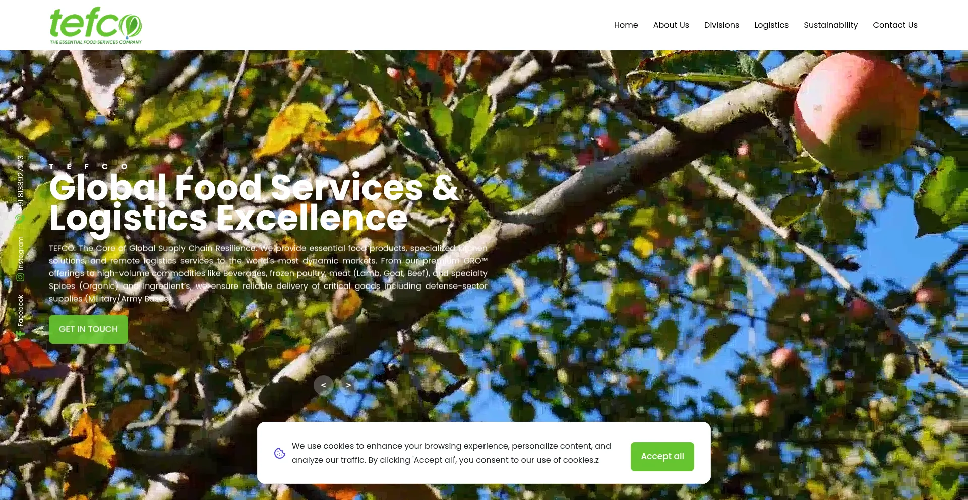 Tefcoglobal.com