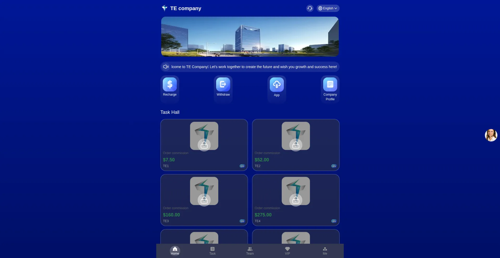 Website screenshot of Teld.one