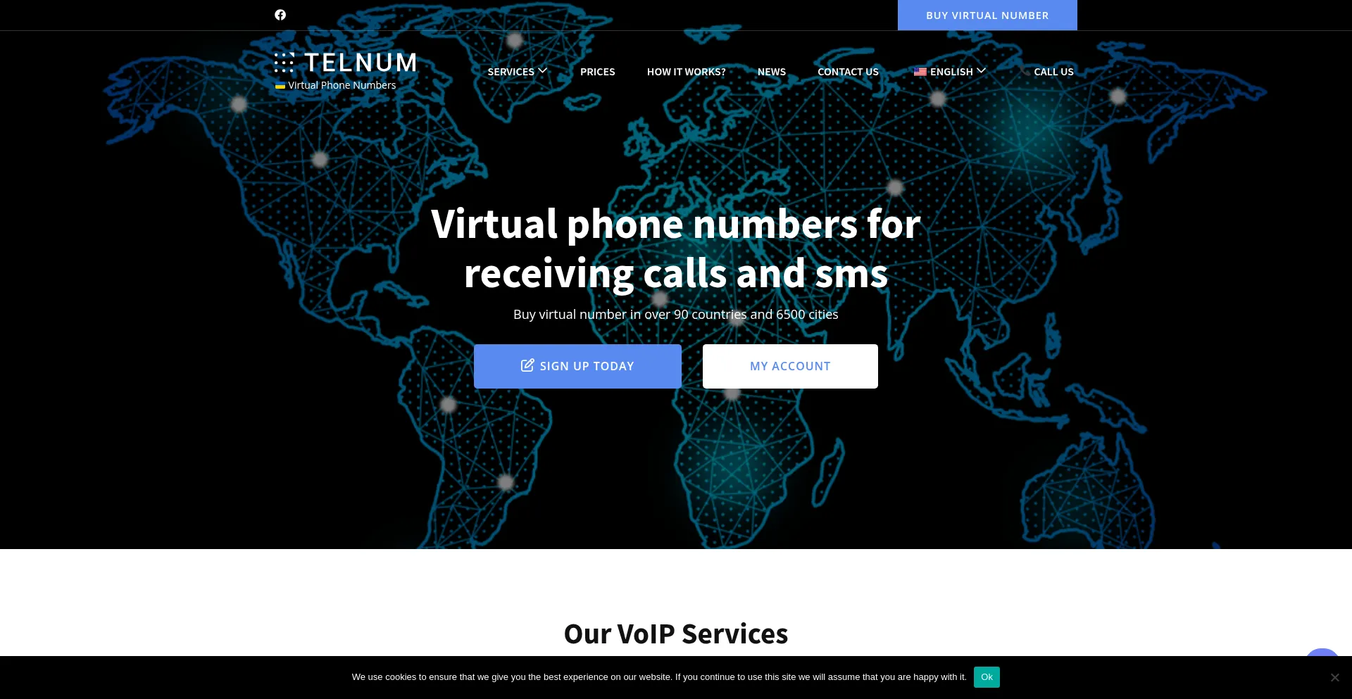 Website screenshot of Telnum.net