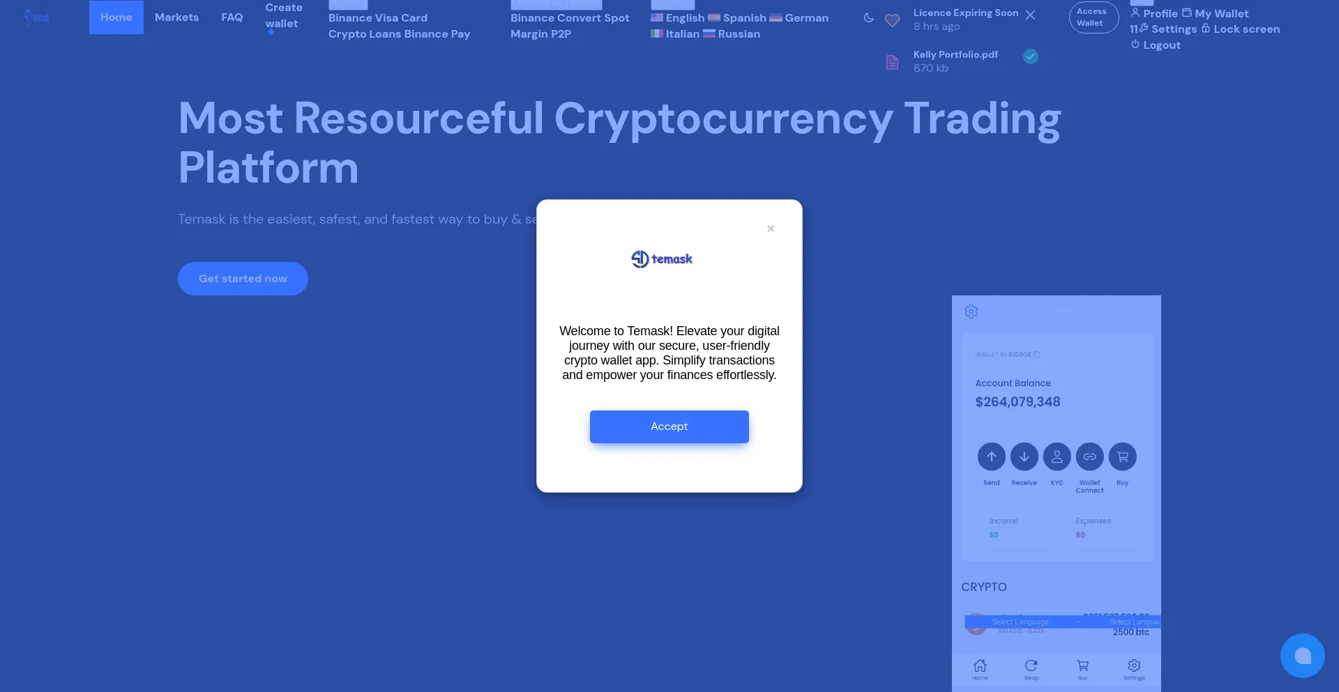Website screenshot of Temask.online