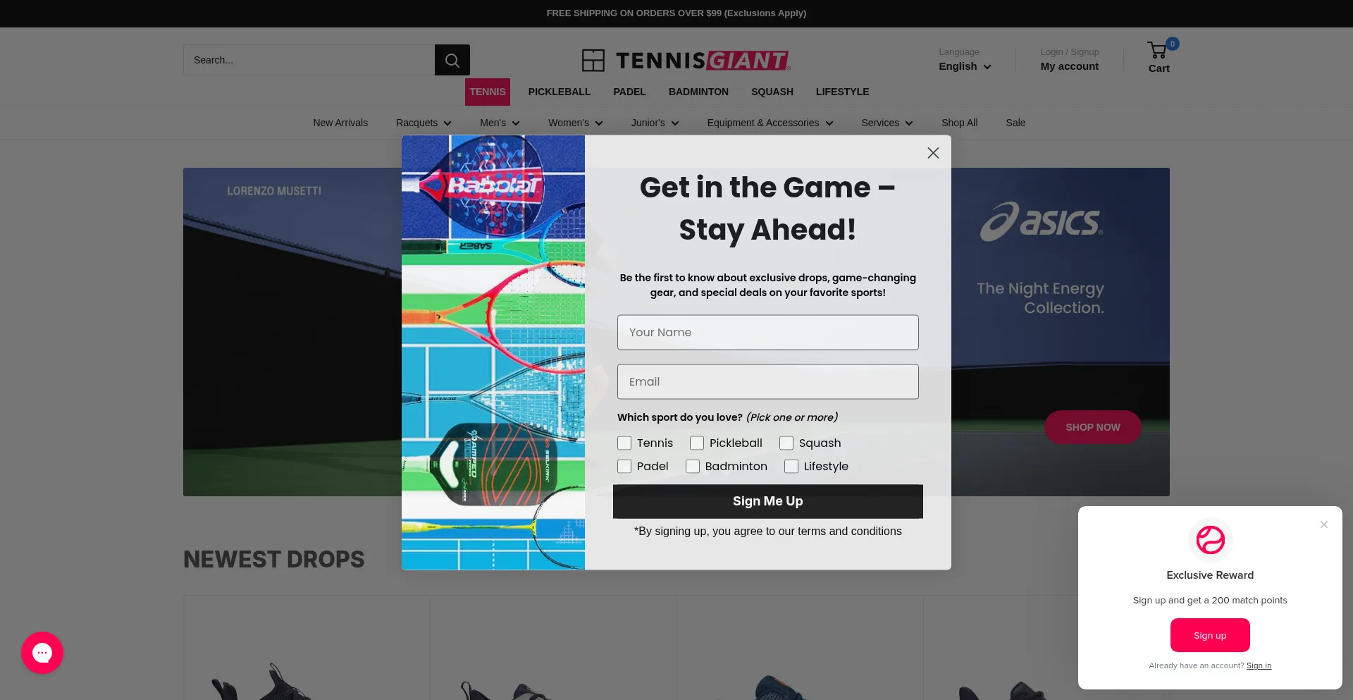 Website screenshot of Tennisgiant.com