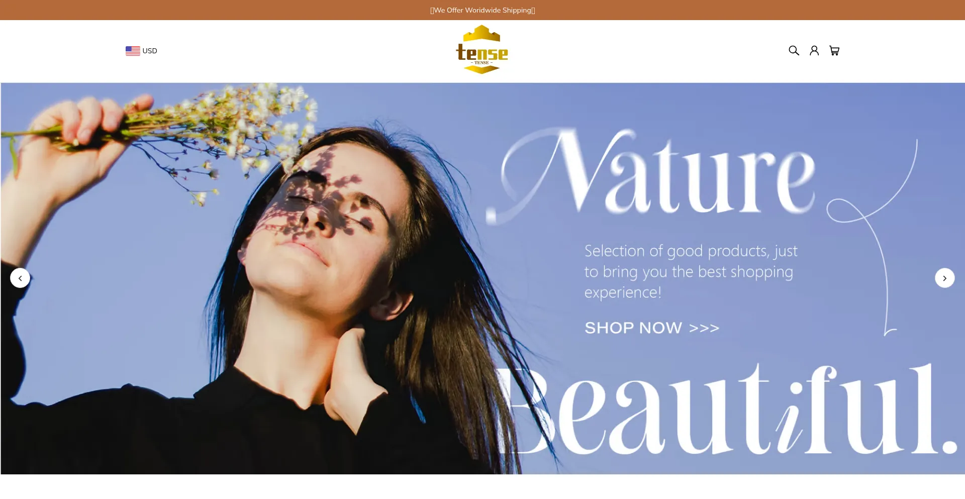 Website screenshot of Tenseous.com
