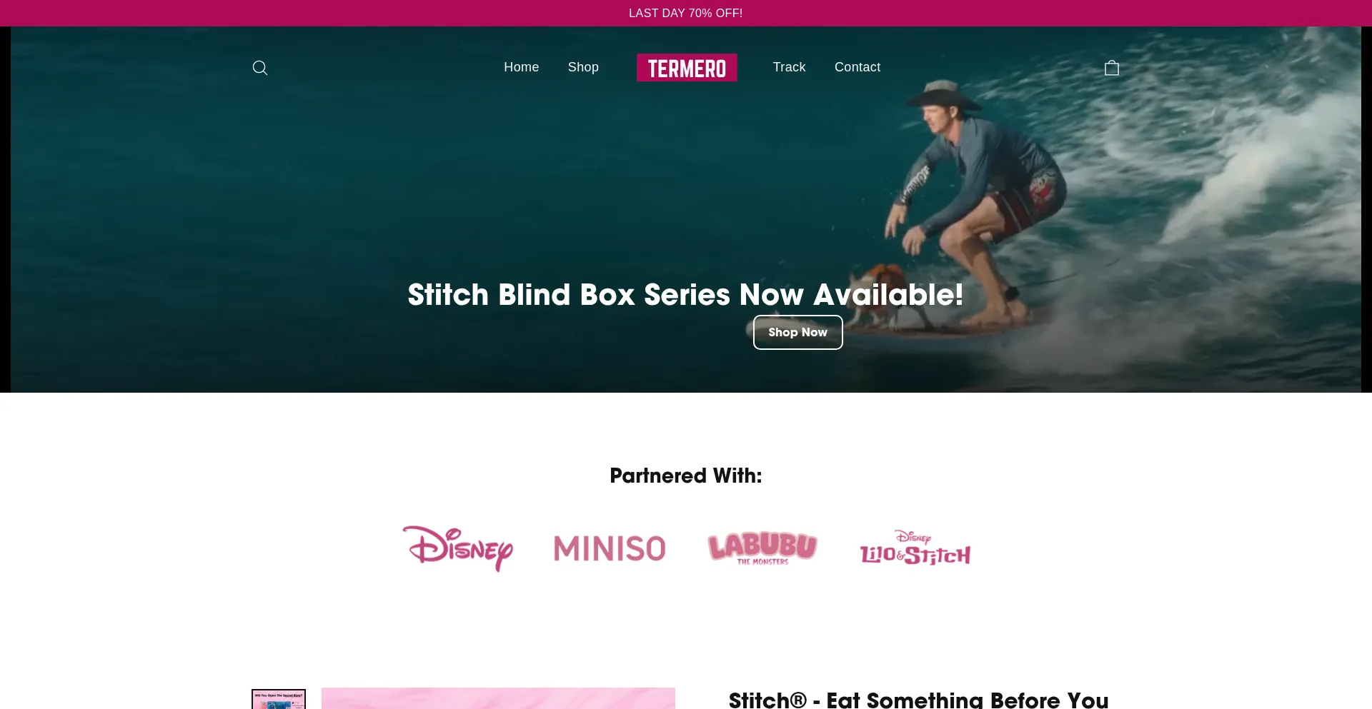 Website screenshot of Termero.com