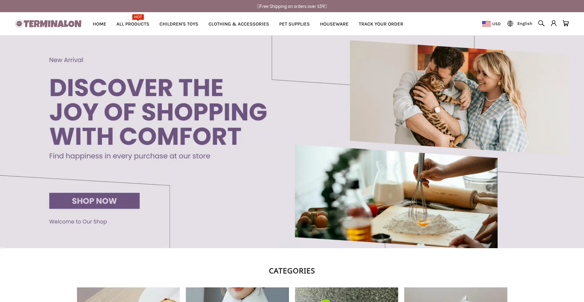 Website screenshot of Terminalon.com