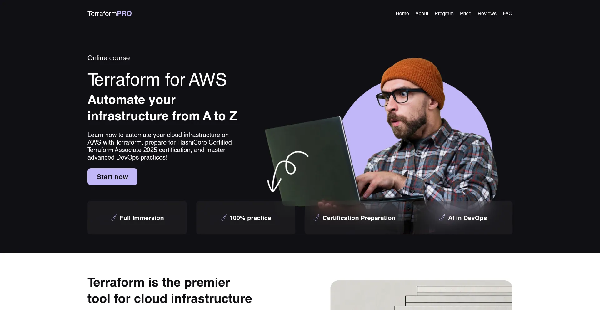 Website screenshot of Terraformpro.pro