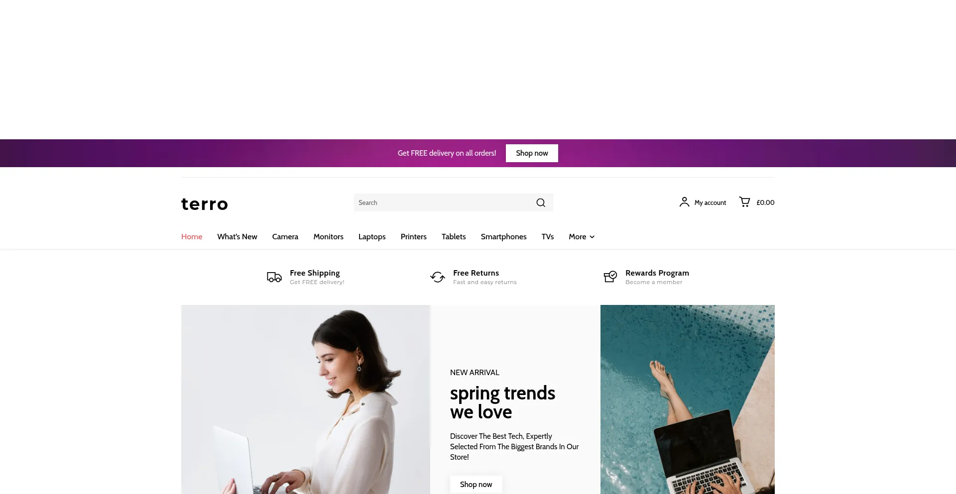 Website screenshot of Terro.co.uk