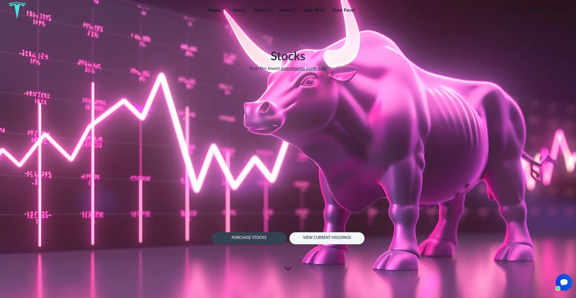 Website screenshot of Teslainvestprov2.com
