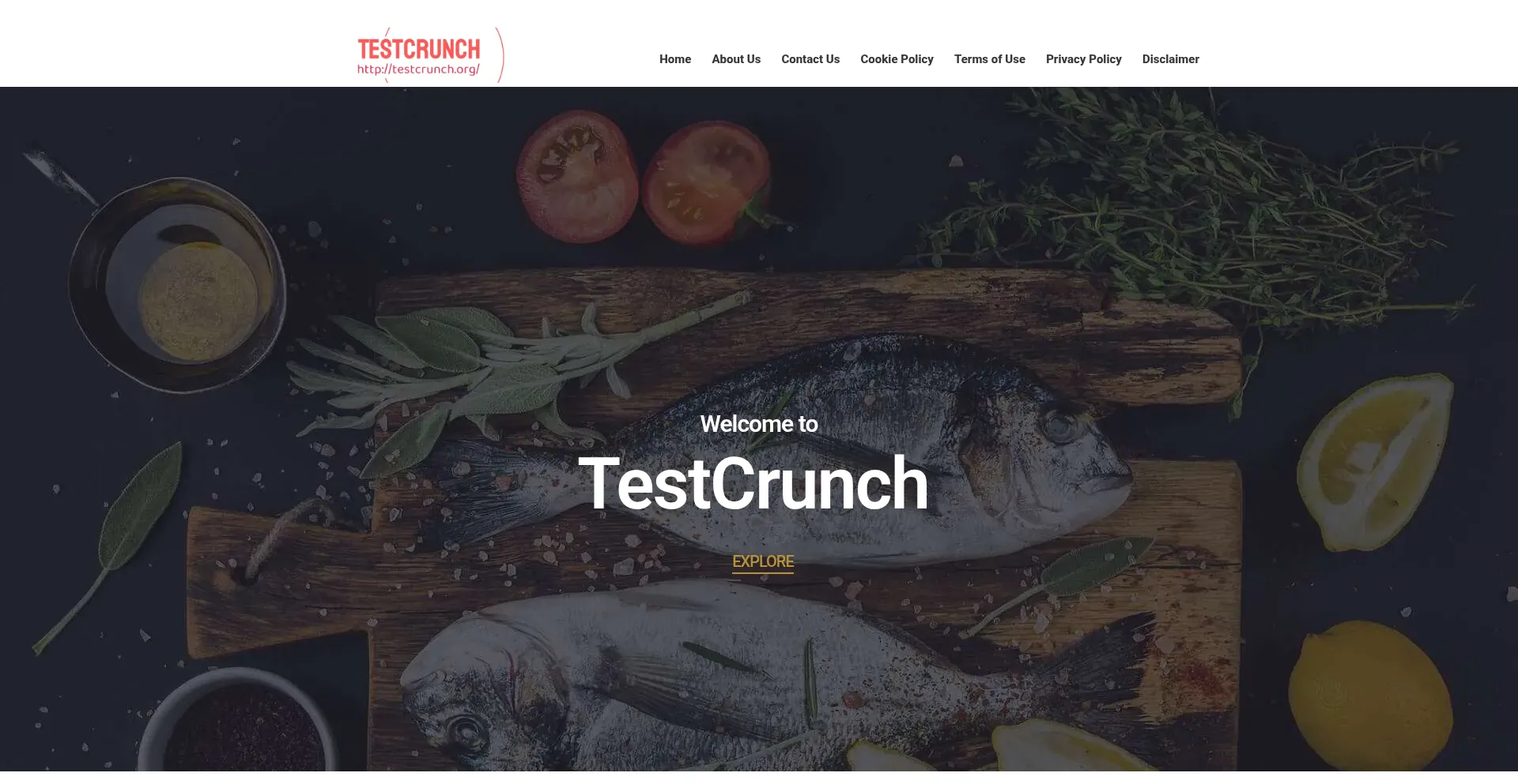 Testcrunch.org