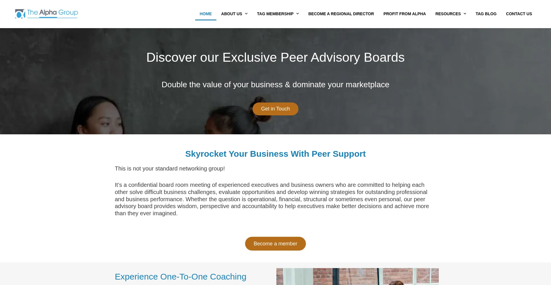 The-alpha-group.biz