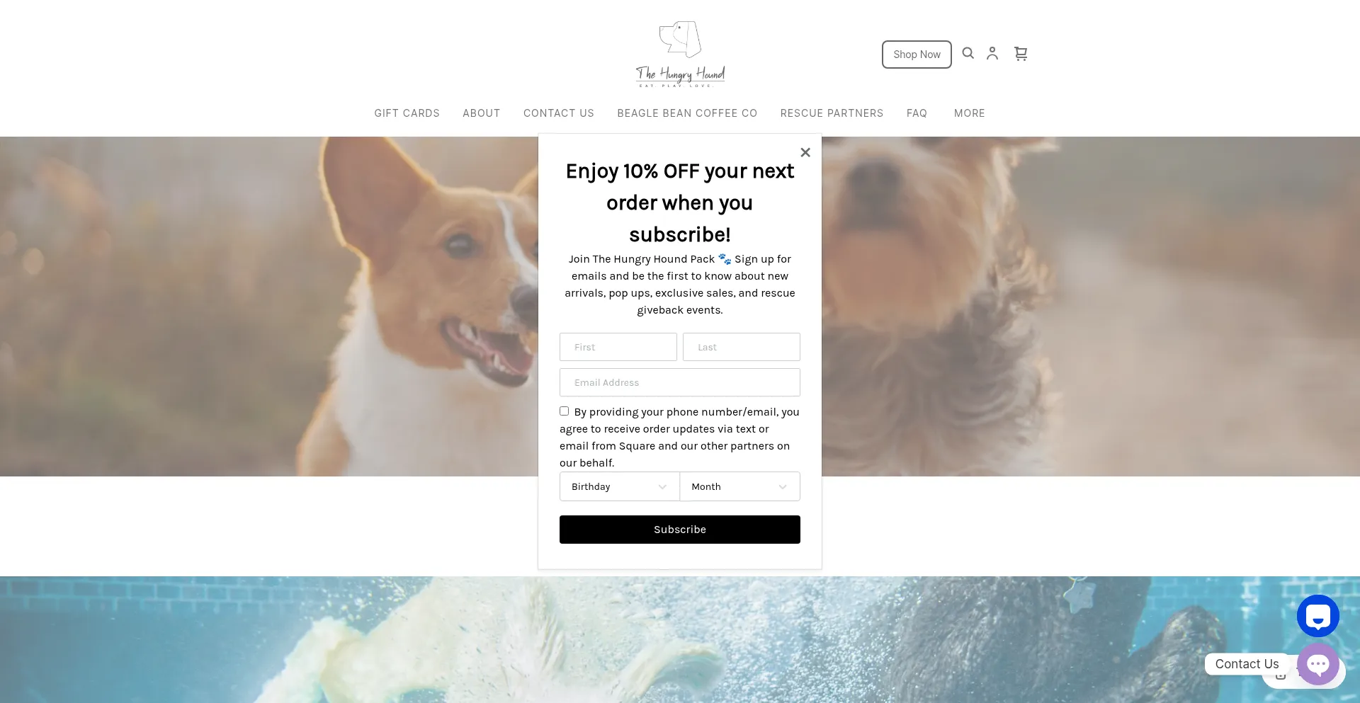 The-hungry-hound.com