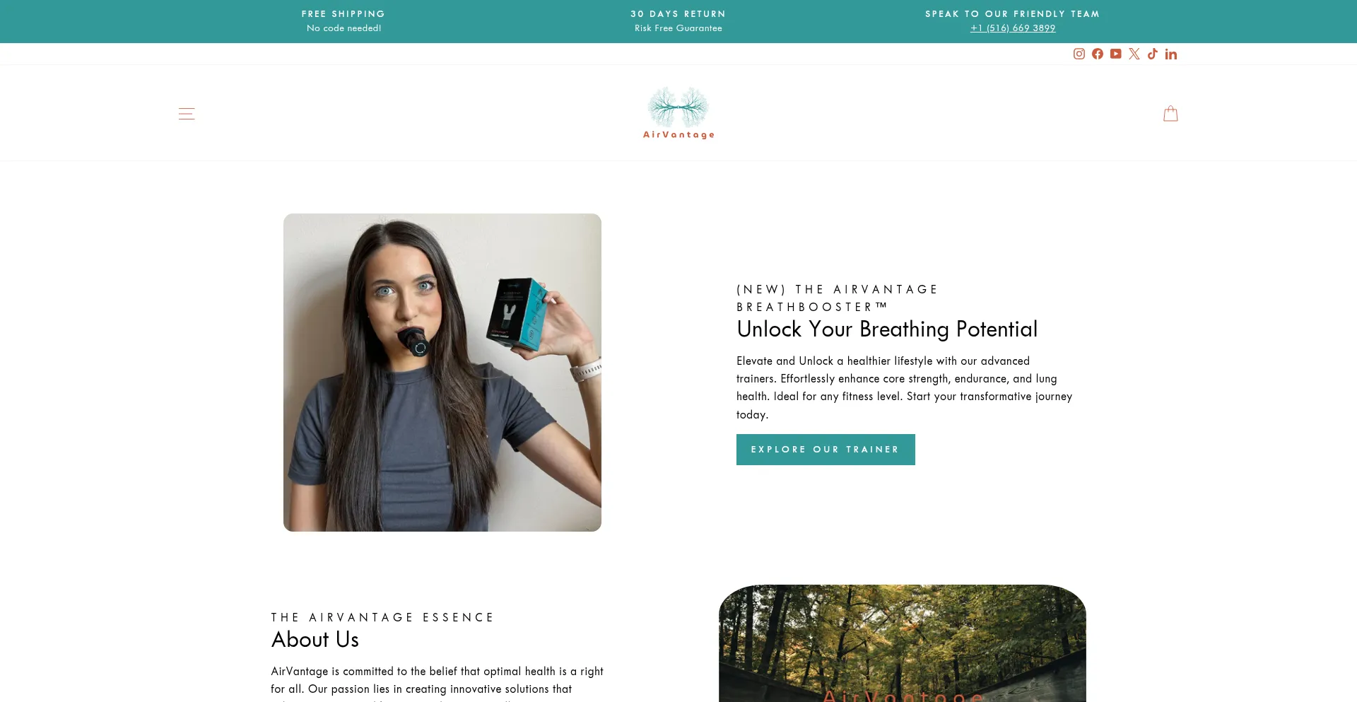 Website screenshot of Theairvantage.com