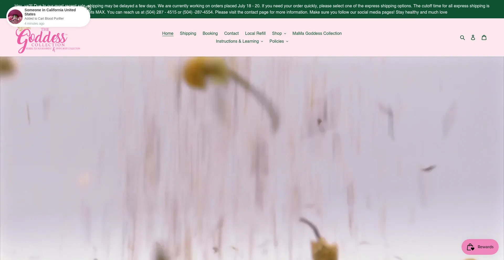 Website screenshot of Thealkalinegoddess.com