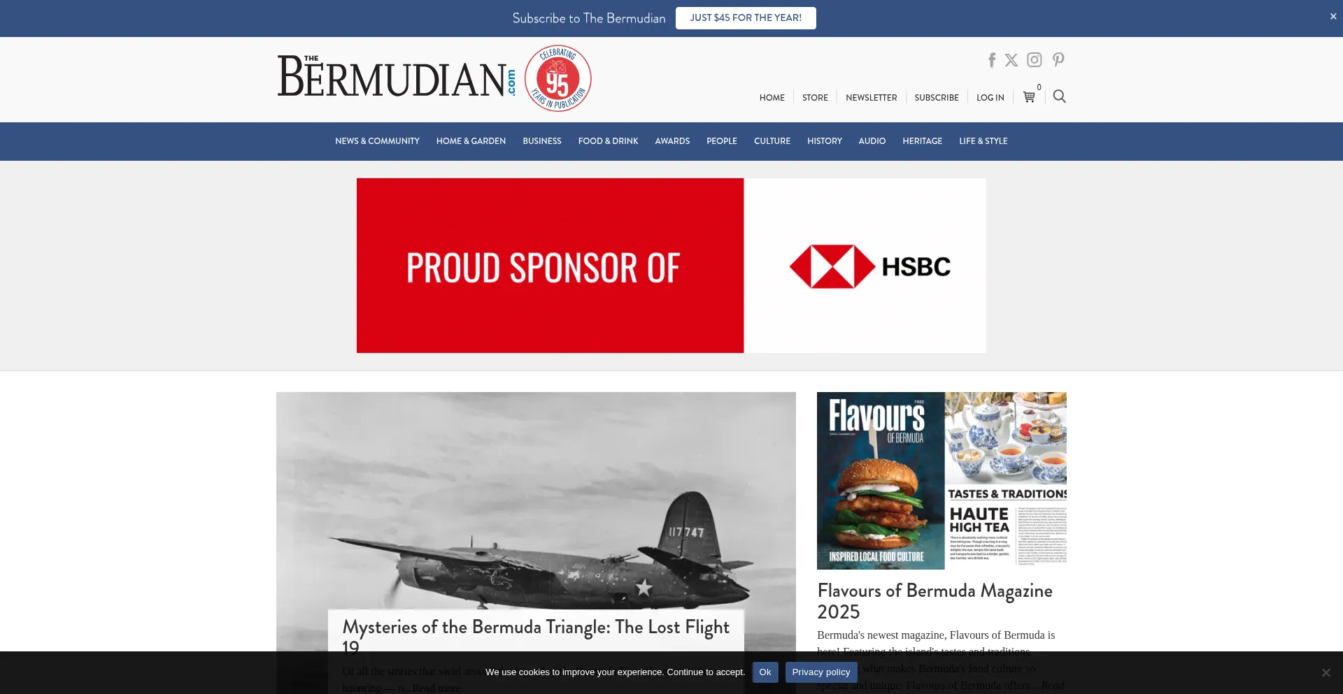 Website screenshot of Thebermudian.com