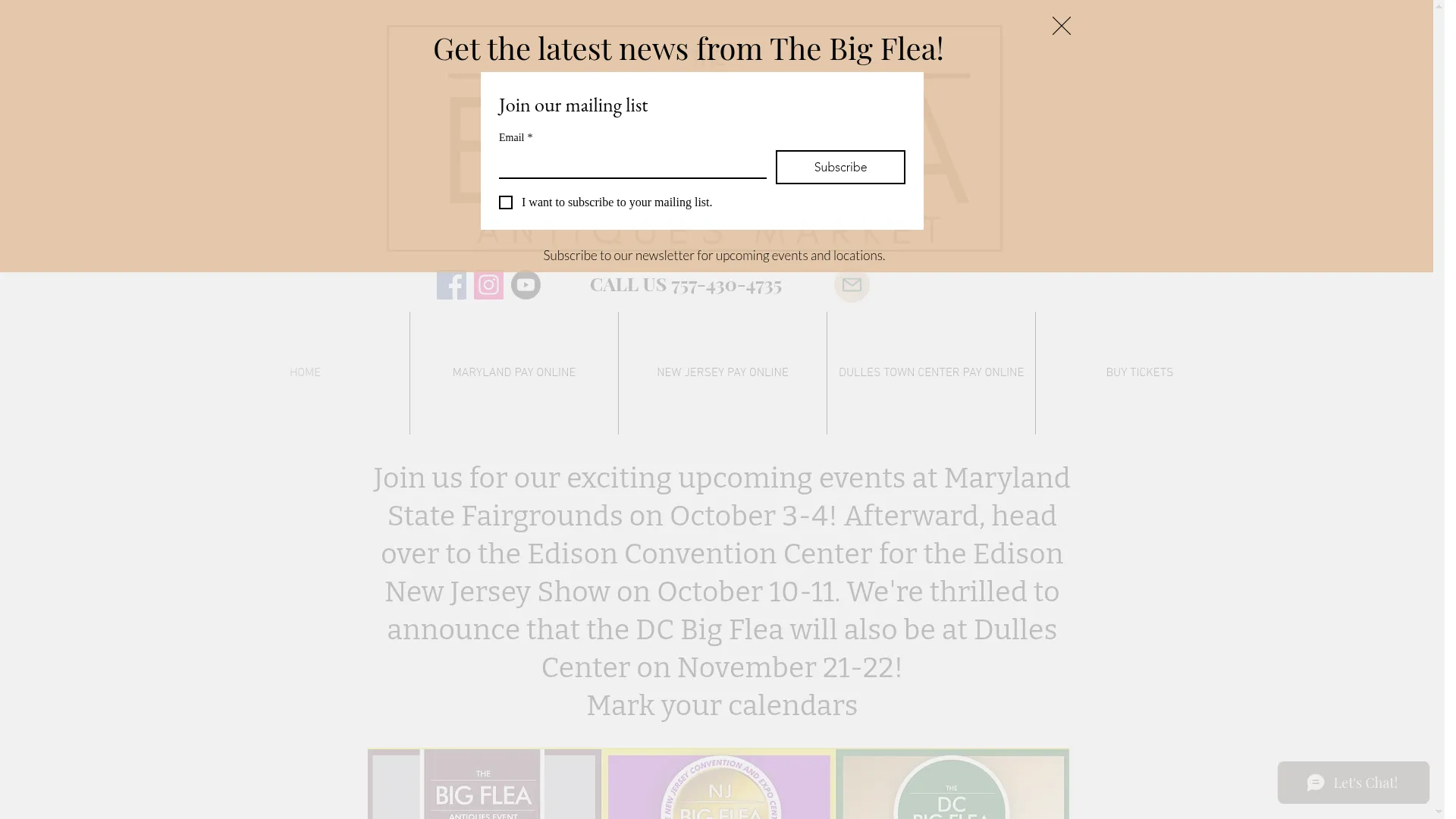 Thebigfleamarket.com
