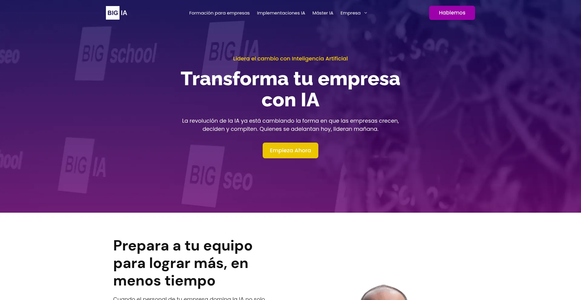 Website screenshot of Thebigia.com