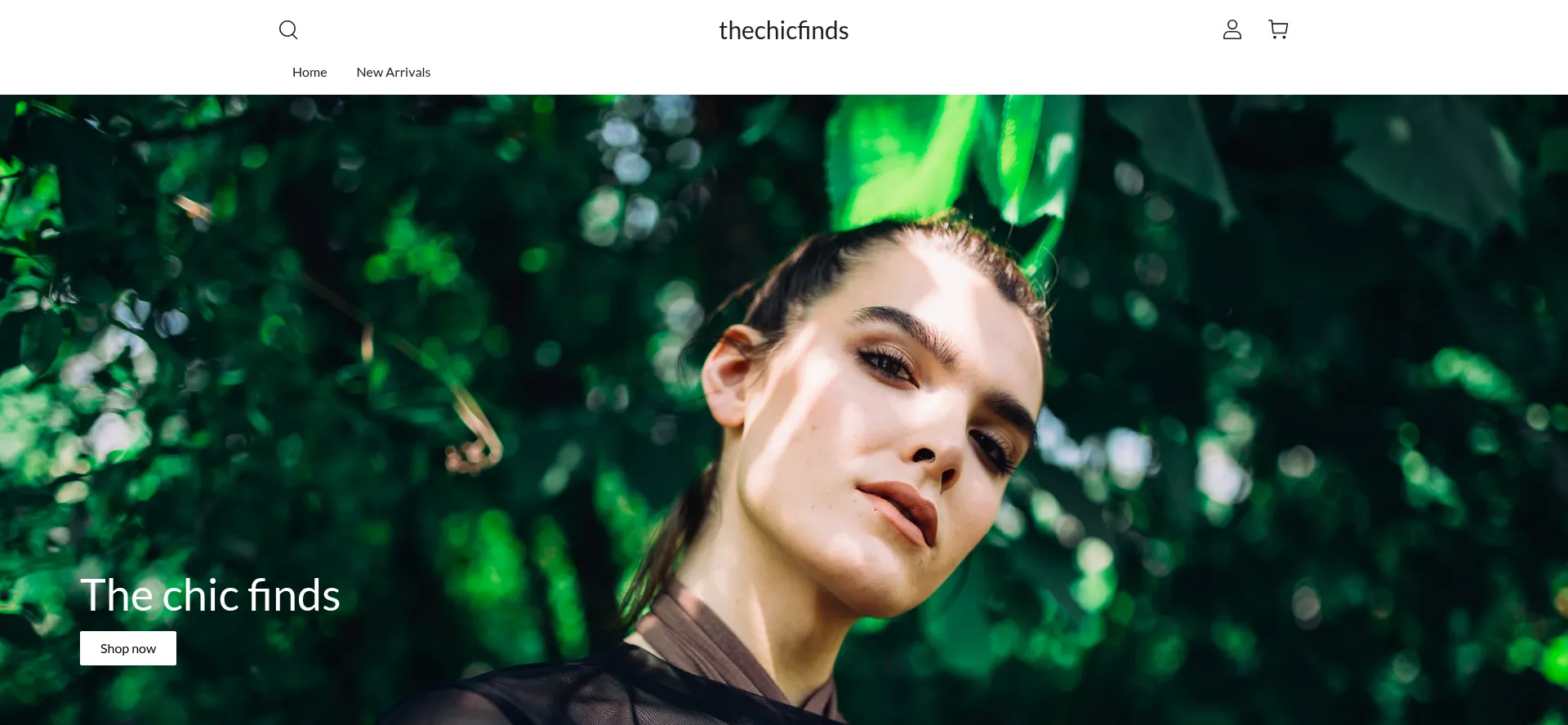 Website screenshot of Thechicfinds.com