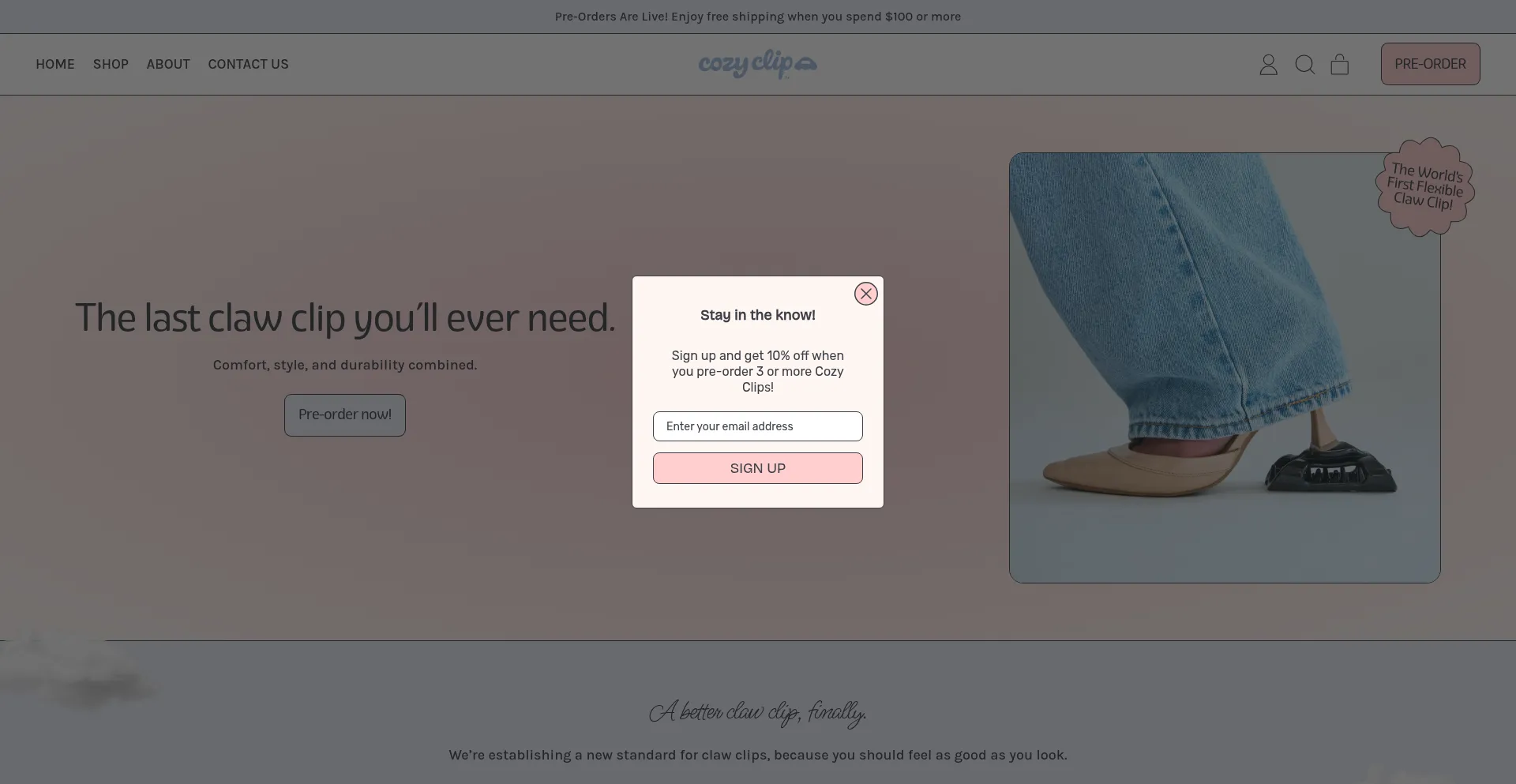 Website screenshot of Thecozyclip.com