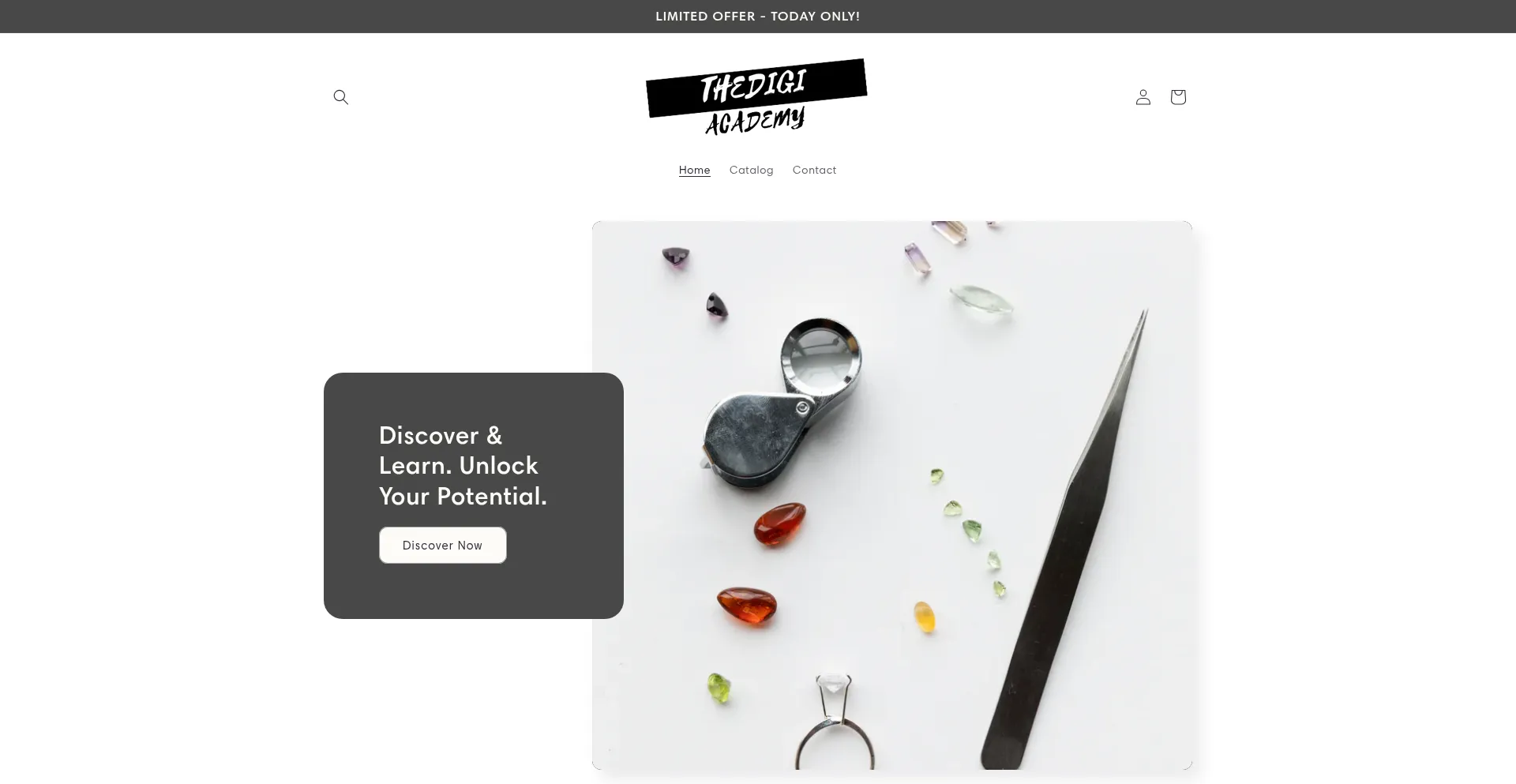Website screenshot of Thedigiacademy.com