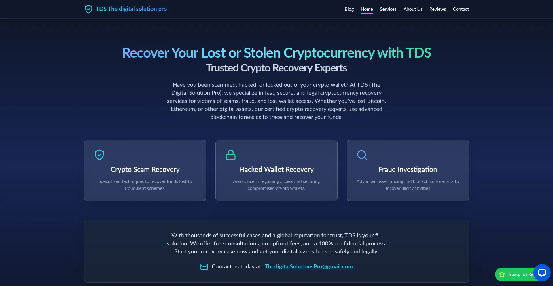Website screenshot of Thedigitalsolution.pro