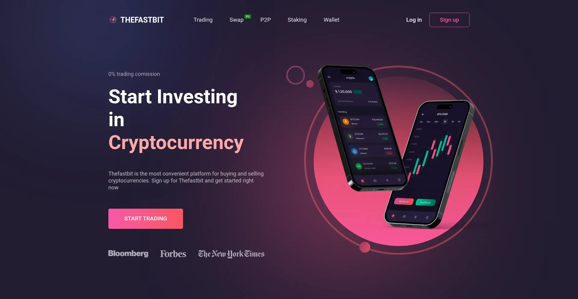Website screenshot of Thefastbit.com