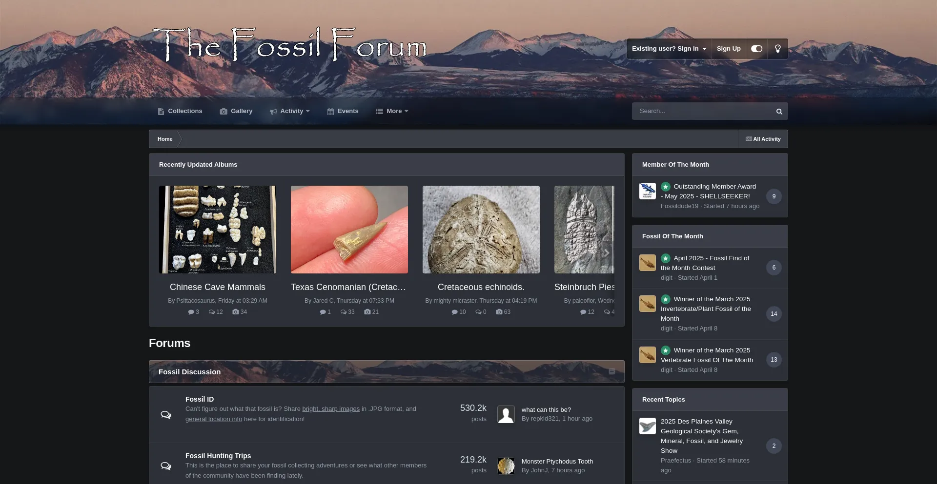 Thefossilforum.com
