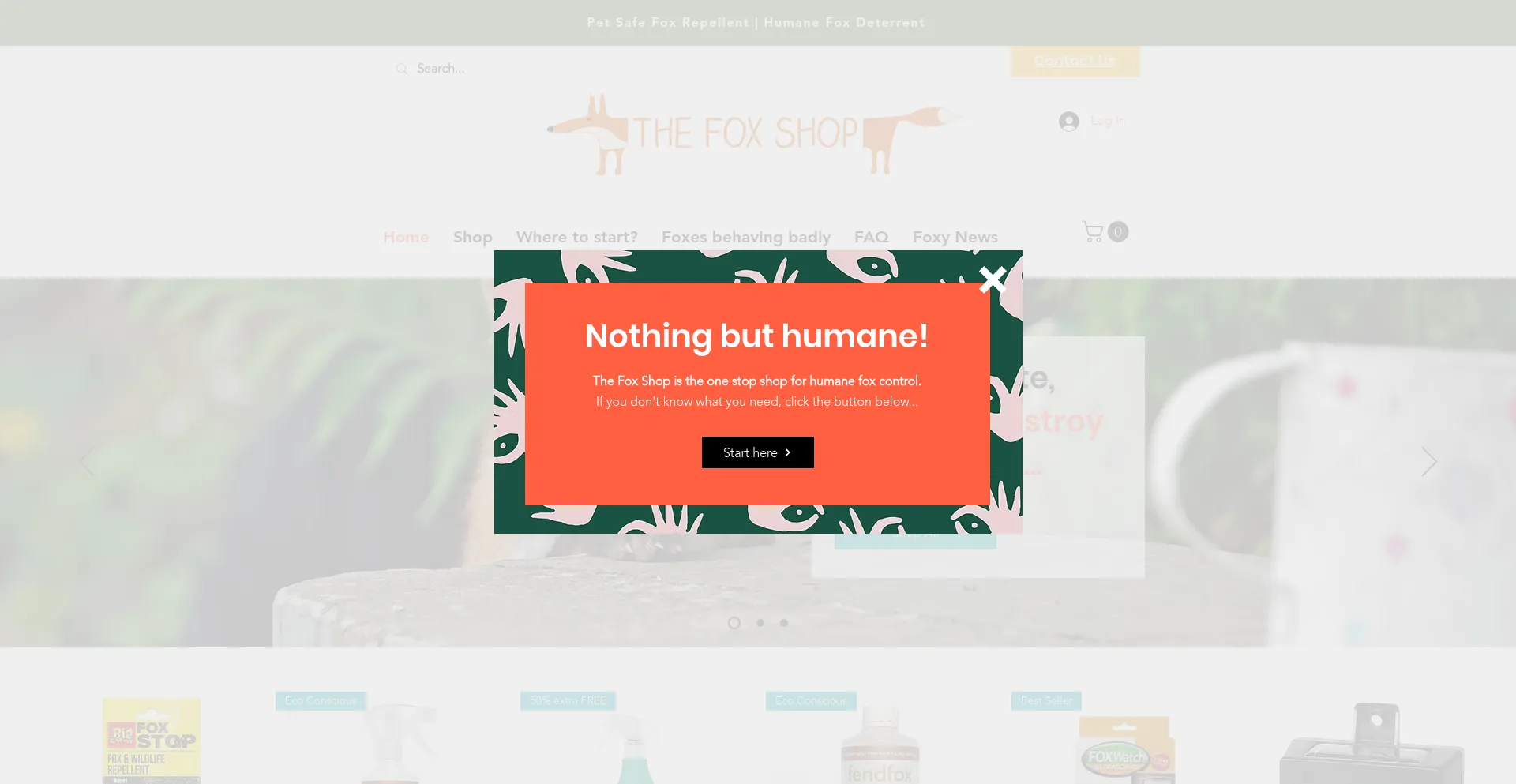 Thefoxshop.co.uk