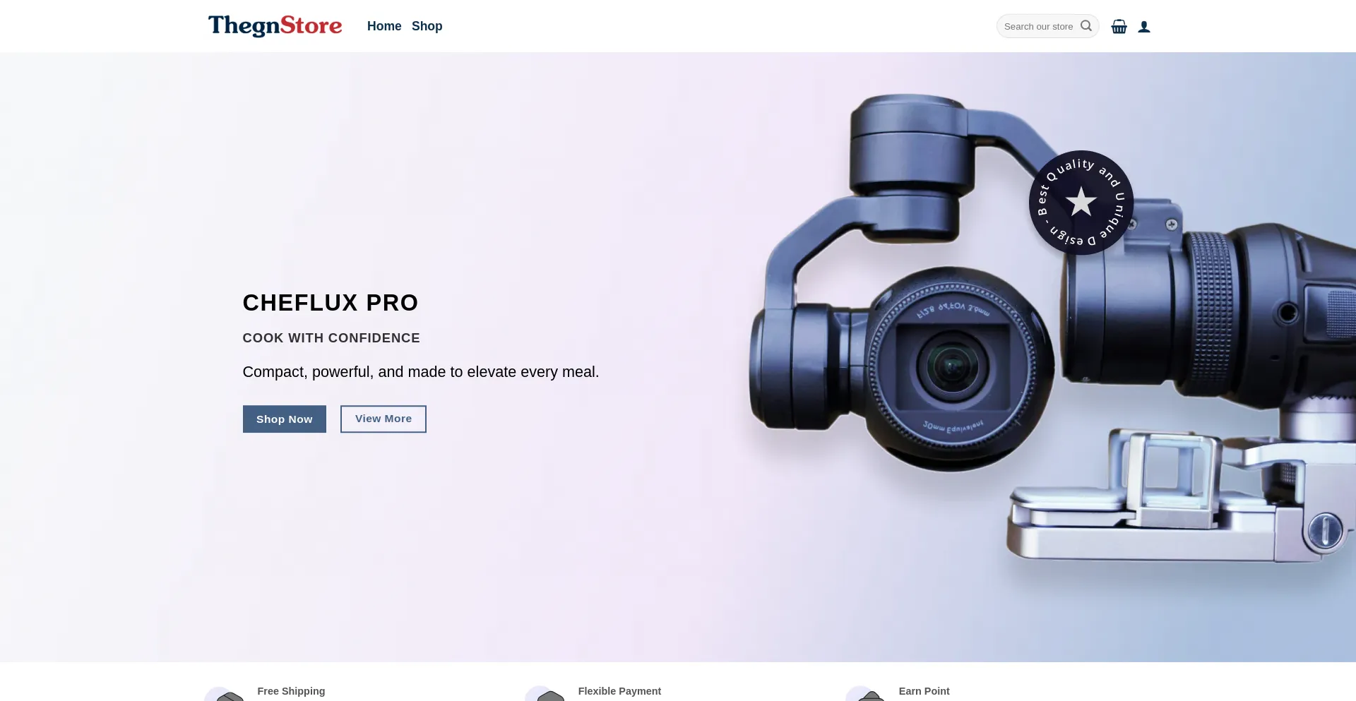 Website screenshot of Thegnstore.com