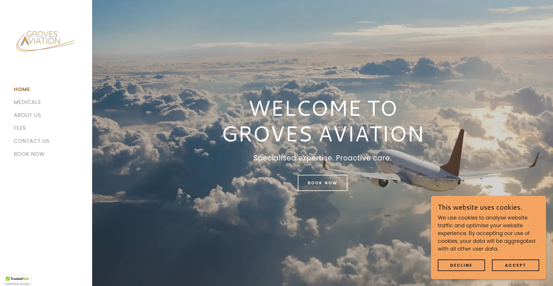 Thegrovesaviation.com