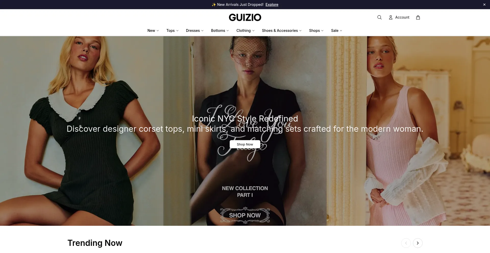 Theguizio.shop
