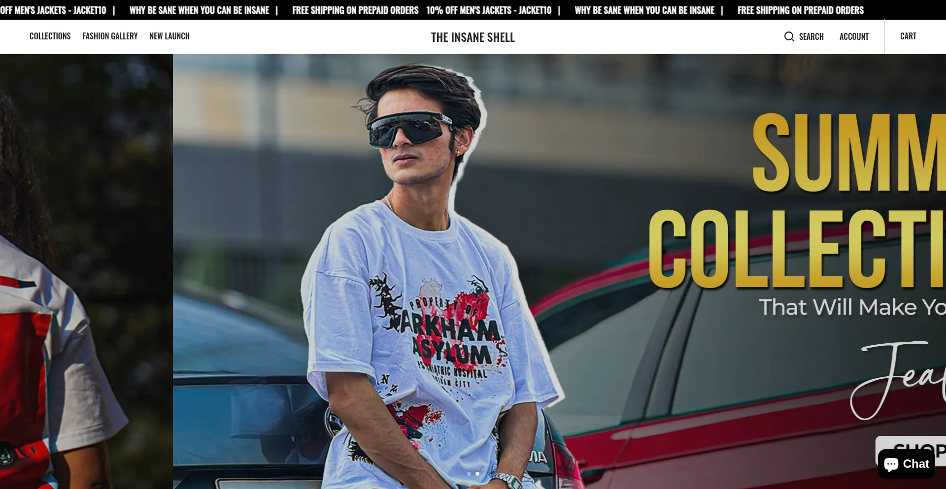 Website screenshot of Theinsaneshell.com