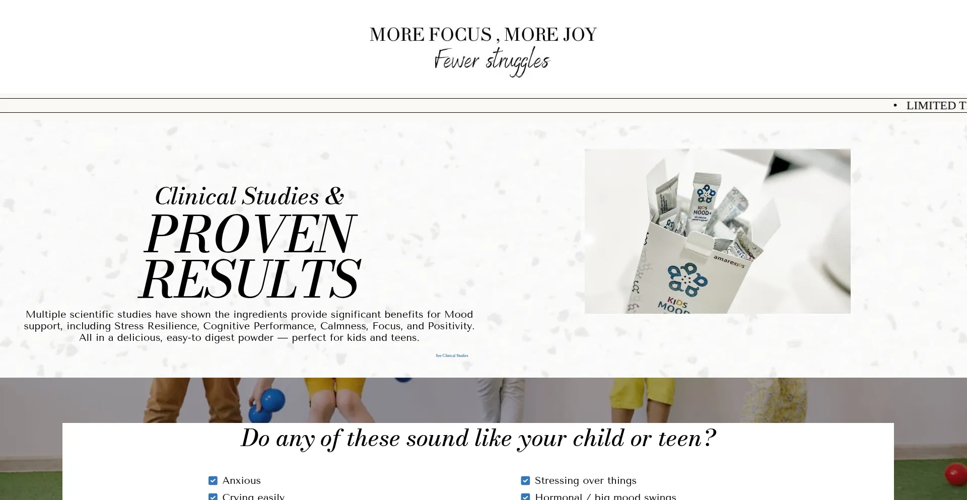 Website screenshot of Thekidsproduct.com