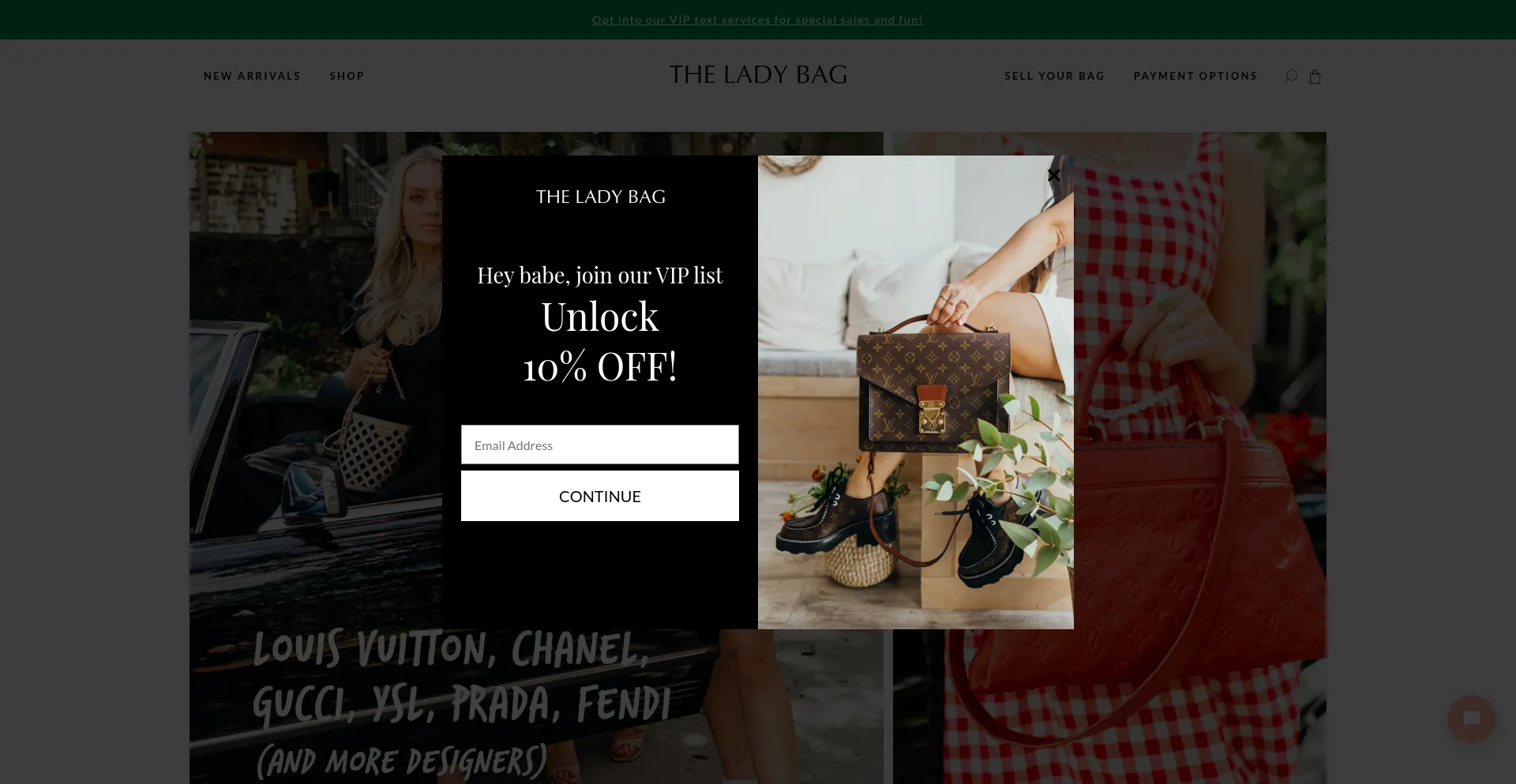 Website screenshot of Theladybag.com