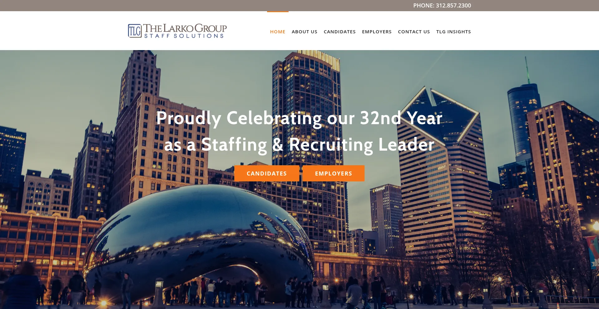 Website screenshot of Thelarkogroup.com