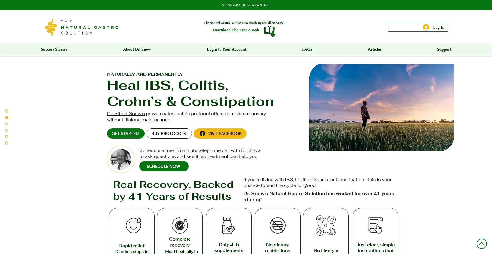Website screenshot of Thenaturalgastrosolutions.com