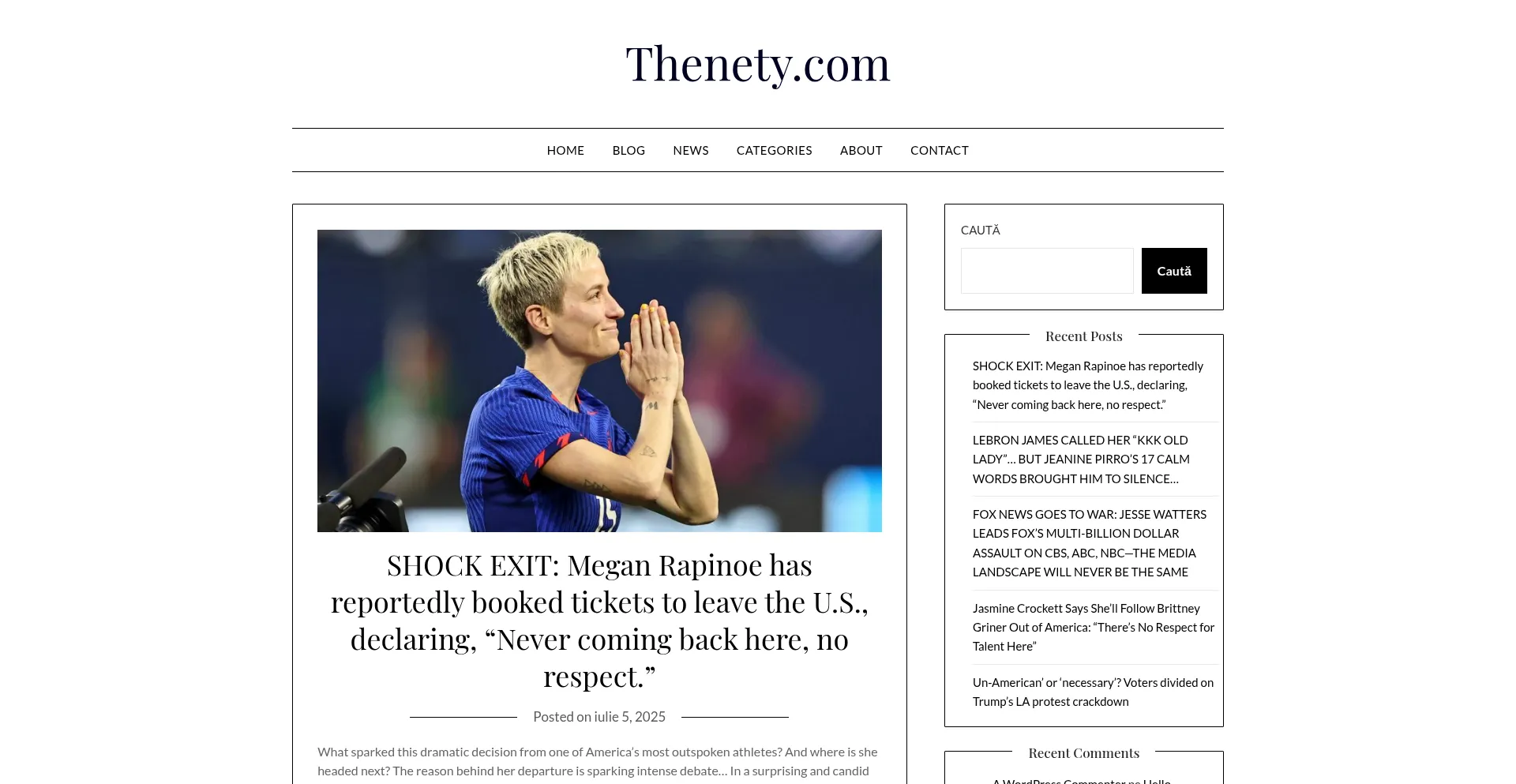 Website screenshot of Thenety.com