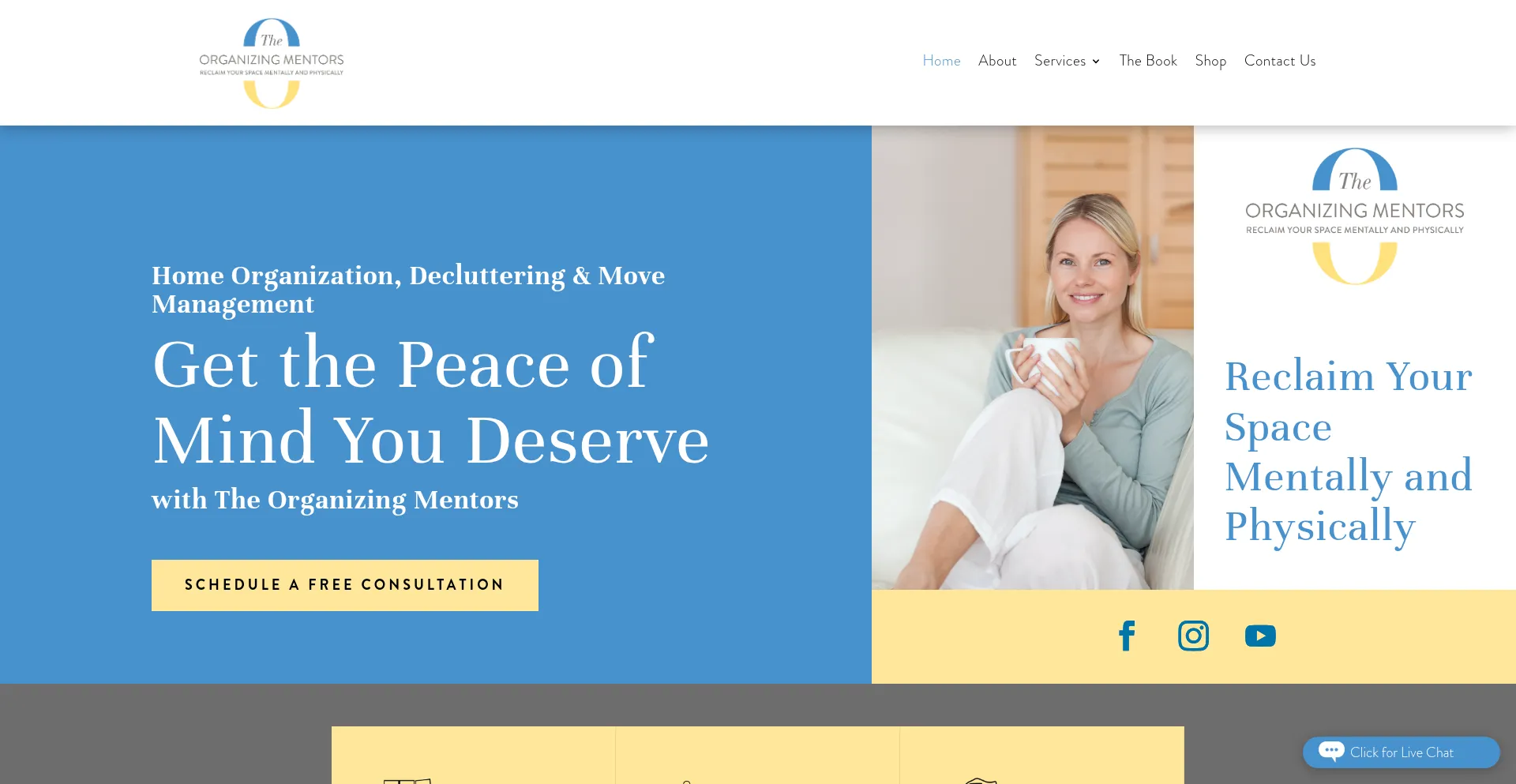 Website screenshot of Theorganizingmentors.com