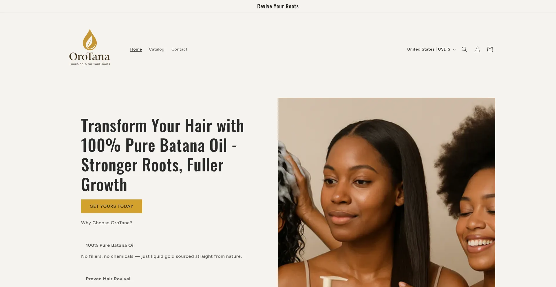 Website screenshot of Theorotana.com