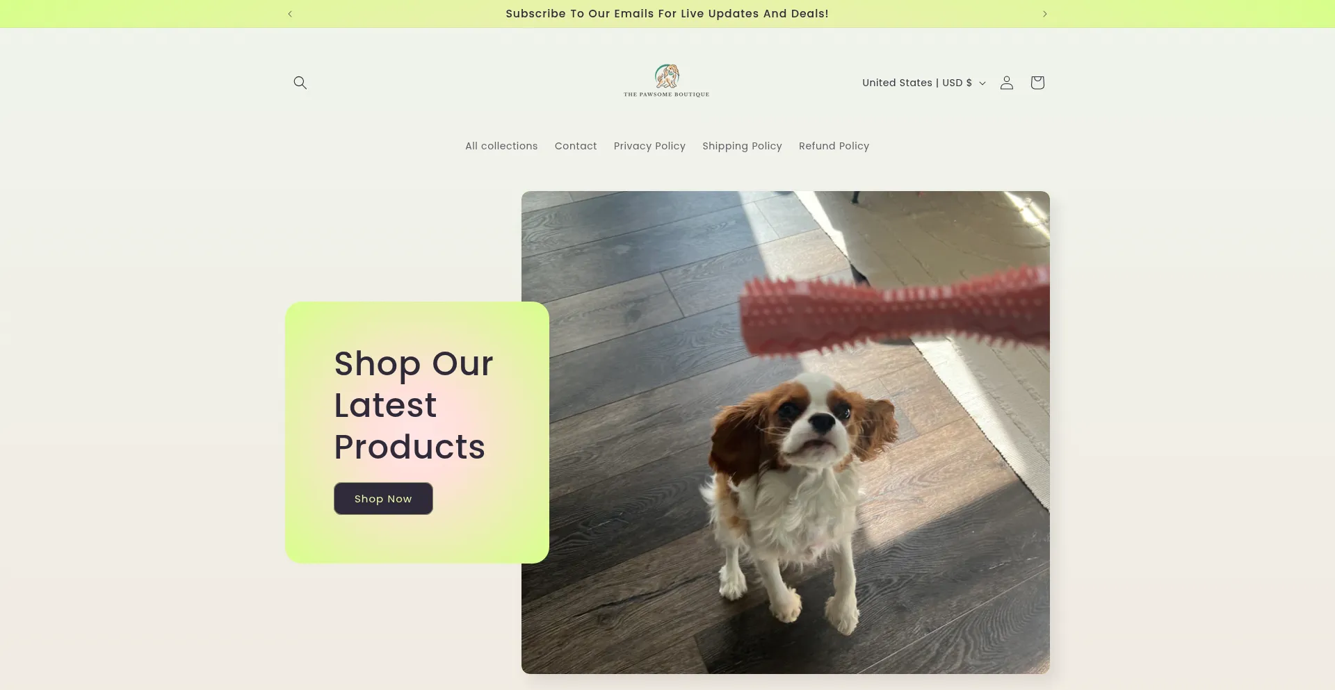 Thepawsomeboutique.com
